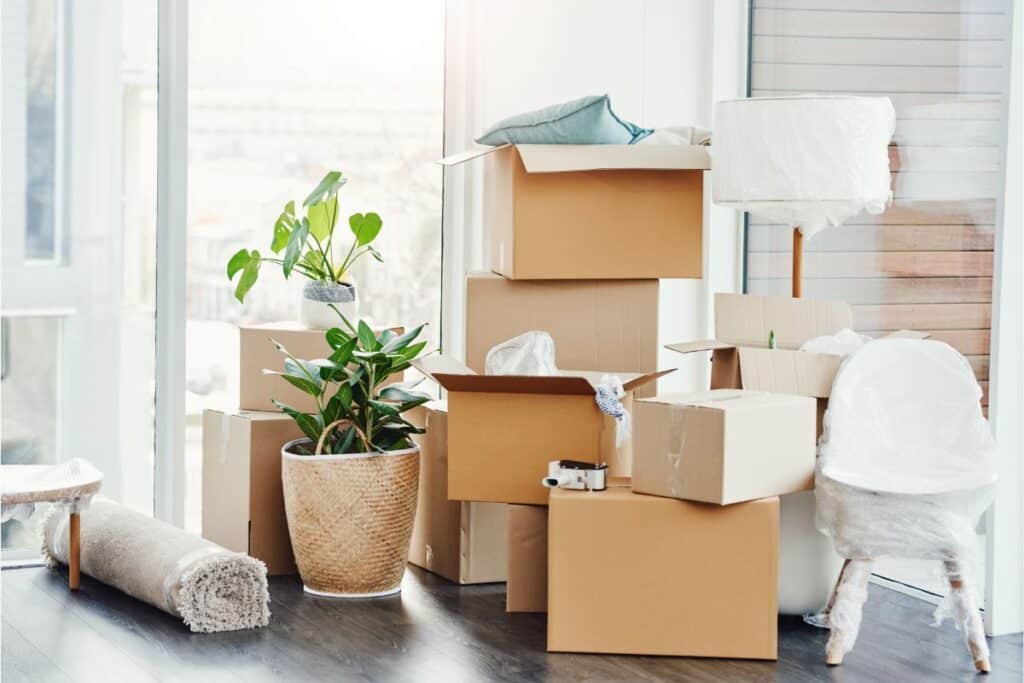 Several moving boxes, a rolled-up rug, a potted plant, and wrapped furniture are arranged on a wooden floor in a bright room with large windows.