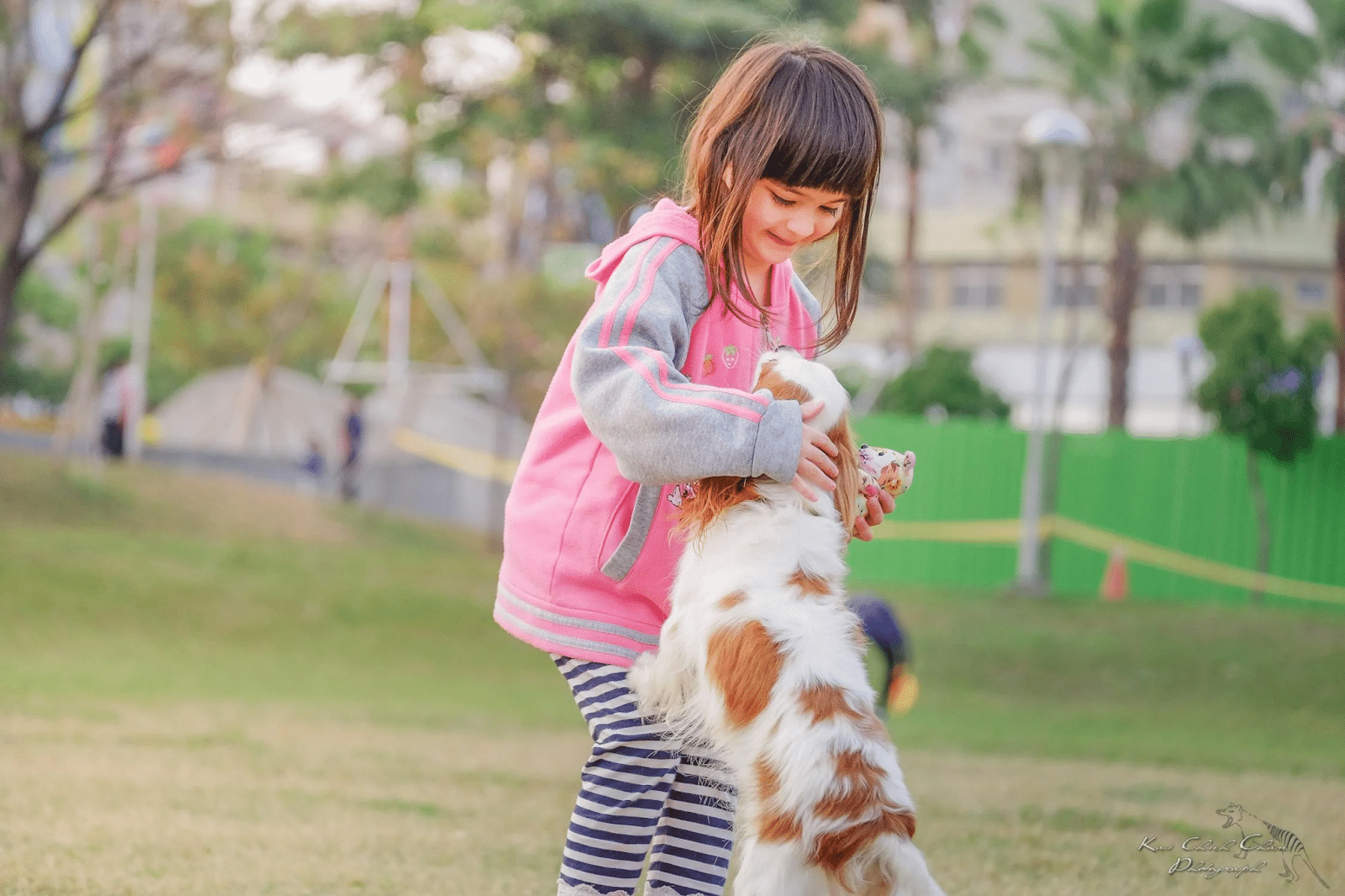 A young girl in a pink jacket and striped trousers smiles while stroking a small, white-and-brown rescue dog standing on its hind legs in a grassy park. Trees and blurred buildings are visible in the background.