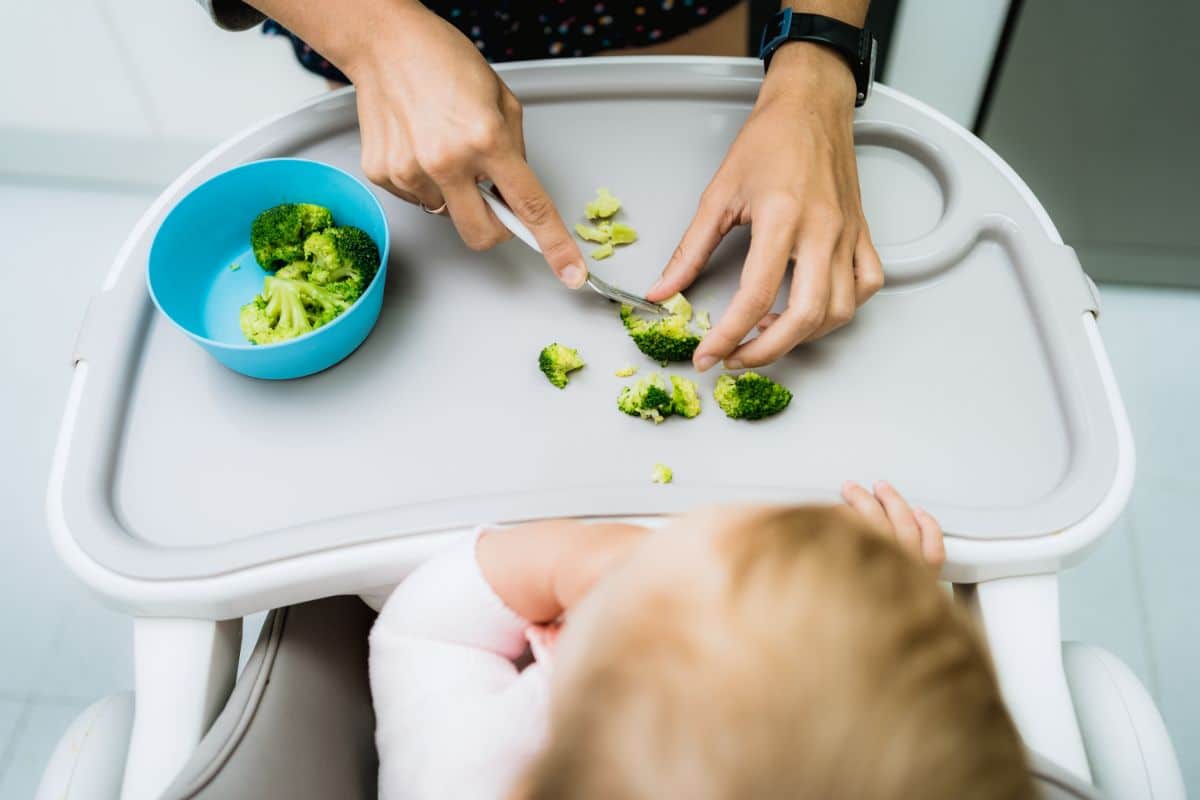 An adult cuts broccoli into small pieces on a highchair tray for weaning, with a bowl of broccoli nearby, whilst a baby sits in the highchair watching.