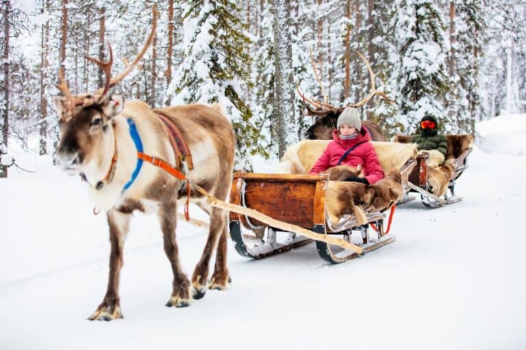 Two people sit in wooden sledges pulled by reindeer through a snowy forest—one in a red coat and hat. Bundled up against the cold, they glide past snow-covered trees, experiencing one of the Best Places to Spend Christmas.