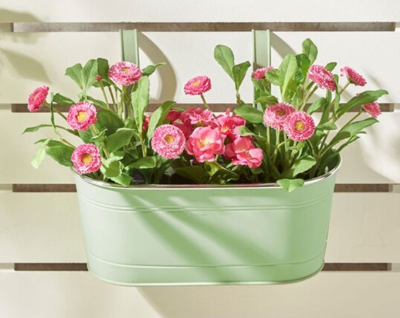 A light green metal planter hangs on a slatted wall, filled with bright pink daisies and leafy green foliage, bathed in natural sunlight—perfect for adding a touch of gardening charm to your space.