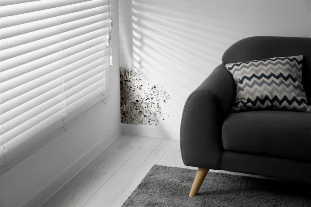 A patch of black mould on a white wall near a window with blinds, found in a housing interior next to a dark grey sofa with a chevron-patterned cushion and a grey rug on a light wooden floor.