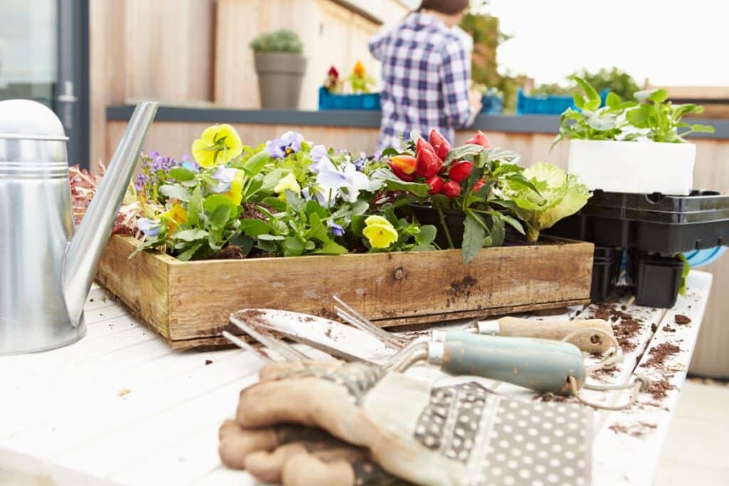 A wooden planter box filled with colourful flowers and peppers sits on a table with gardening tools, gloves, and soil scattered around—perfect for any rooftop garden. In the background, a person tends to plants.