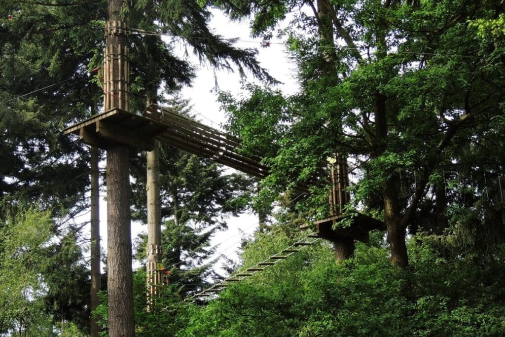 Experience the thrill of adventure centres with an aerial ropes course featuring wooden platforms and hanging bridges suspended between tall trees in a lush, green forest.