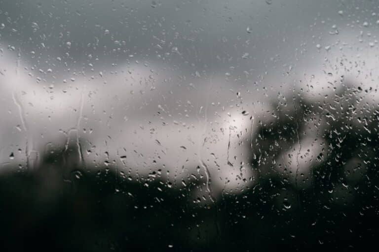 Raindrops on a window with a blurred view of dark Yorkshire trees and an overcast sky in the background, creating a moody scene perfect for reflecting on rainy day activities.
