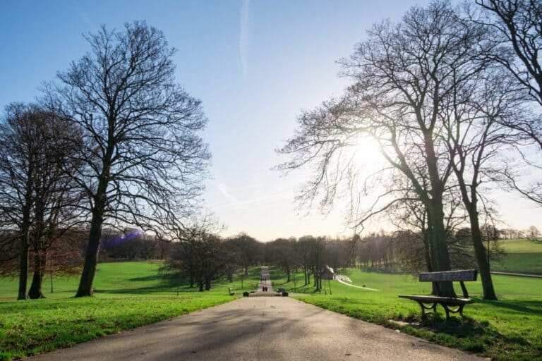 A paved path in Roundhay Park is lined with leafless trees, green grass, and an empty bench on the right. The sun is shining brightly in a clear blue sky, making it a perfect contrast to the usual muddy walk found elsewhere in the park.